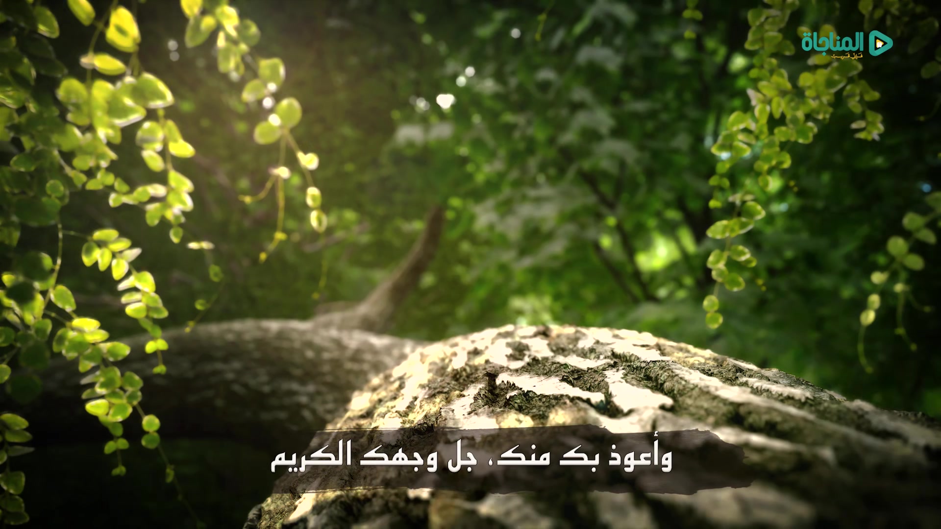 سبحان ذى الملك و الملكوت