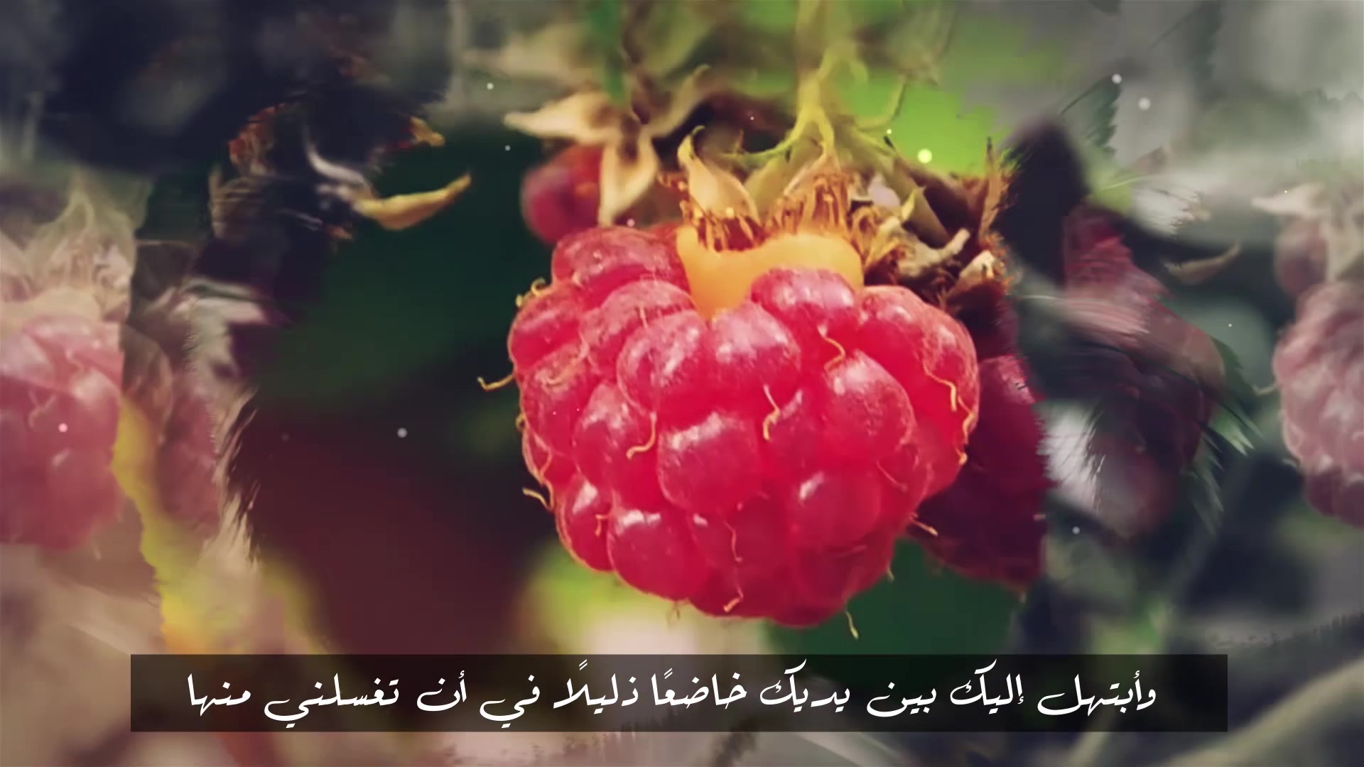 طلب التنزه من الخطايا